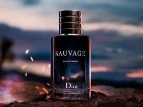 Dossier.co Dior Sauvage