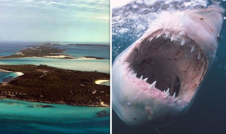 Rose Island, Bahamas sharks Attacks kill the woman