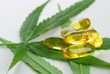 Everything You Need to Know About CBD Capsules