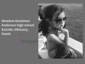 Meadow Goodman Anderson high school Suicide, Obituary, Death