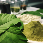 The Many Surprising Uses Of Kratom Throughout History