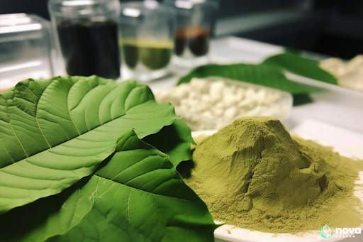 The Many Surprising Uses Of Kratom Throughout History