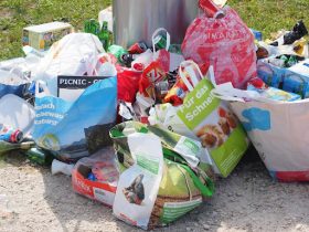 5 Tips to Make Rubbish Collection Hassle-Free In Sydney