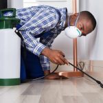 6 Reasons for Hiring a Professional Pest Control Company | Fly Light Traps Overview