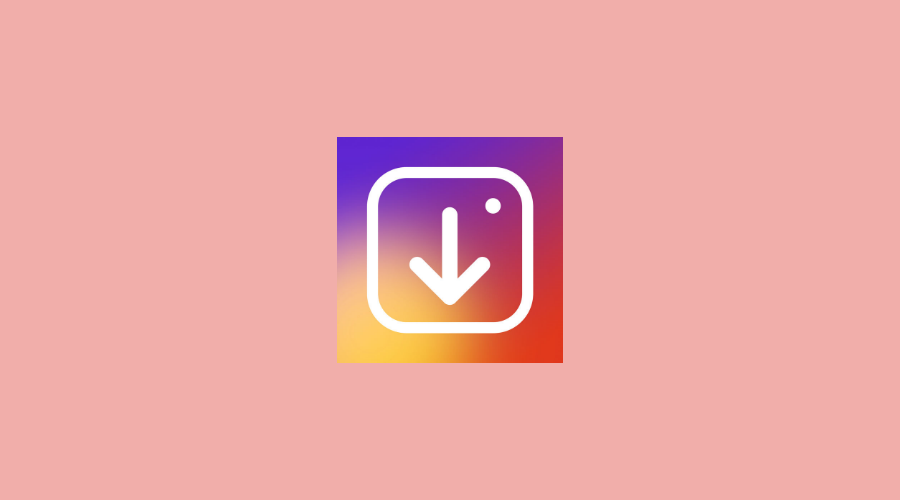 Picuki Instagram Stories, Alternative and How to Use It - Blog Spinel